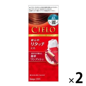 CIELO（シエロ） ヘアカラーEX　クリーム　4A　アッシュブラウン　1セット（2個） hoyu（ホーユー）