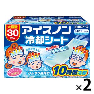 アイスノン 冷却シート 1セット（2個） 白元アース 冷却用品｜LOHACO by アスクル