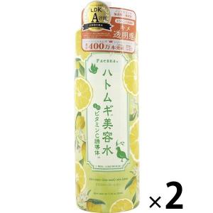 パエンナ ハトムギ美容水inビタミンC誘導体 500ml 2本 イヴ ハトムギ化粧水