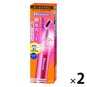 ポイント9倍 ブローネ　根元カラー　白髪染め　ダークブラウン　2本　花王