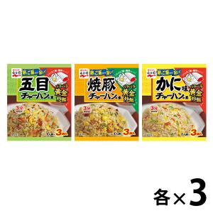 永谷園　チャーハンの素 3種バラエティセット 計9個（五目チャーハン・焼豚チャーハン・かに味チャーハン）