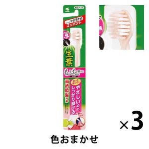 アパホテルオリジナル歯ブラシ1000本入（柄色：黒） : アパホテルYahoo