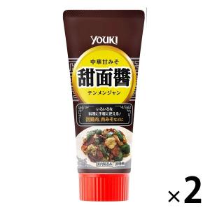 甜面醤（テンメンジャン） チューブ 100g 2本 ユウキ食品