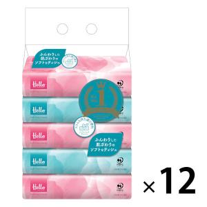 ティッシュペーパー 150組（5個入） 1セット（12パック） ハローソフトパックティシュ ユニバーサル・ペーパー