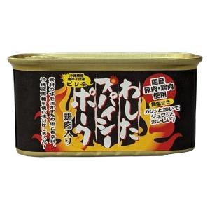 わしたポーク JAPAN 200g 24個セット 沖縄県物産公社 ランチョンミート