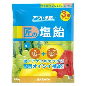 Gains 匠の塩飴 3種アソート 1袋（750g：約175粒入） サラヤ 塩飴 塩分補給