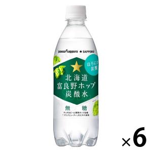 ポッカサッポロフード＆ビバレッジ 北海道 富良野ホップ炭酸水 500ml 1セット（6本）｜LOHACO by ASKUL