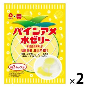 パインアメ 水ゼリー 2袋 共立食品 製菓材 手作りお菓子 ゼリー