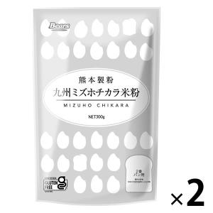 熊本製粉 九州ミズホチカラ米粉 300g 1セット（1個×2）｜LOHACO by アスクル