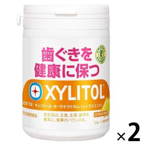 リカルデント さっぱりミントガム ボトル ( 135.2g )/ リカルデント
