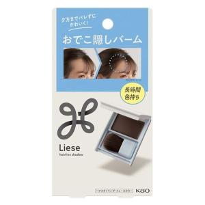 POLA ポーラ エステロワイエ ブローローション 1L （1セット1本入）1本