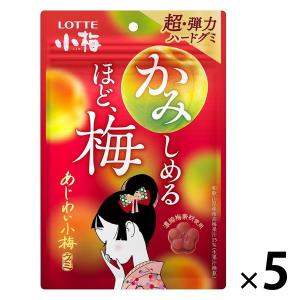 【アウトレット】あじわい小梅グミ 1セット（1個×5）ロッテ ハードグミ｜LOHACO by ASKUL