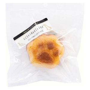 NUTRI BITES フリーズドライサーモン 犬猫用510g 1805224 オメガ3 100