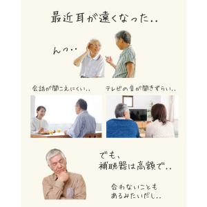 集音器 高齢者 充電式 イヤホン型 集音機 し...の詳細画像2
