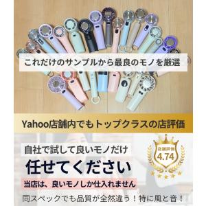 ハンディファン 冷却プレート 2026 日本企...の詳細画像2
