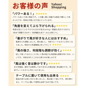 ハンディファン 冷却プレート 2026 日本企...の詳細画像3