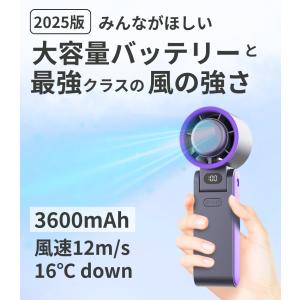 ハンディファン 冷却プレート 2026 日本企...の詳細画像4