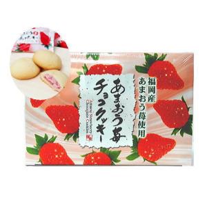 ぷっちょ 晩白柚 （5本入） 熊本県産晩白柚果汁使用 【九州限定