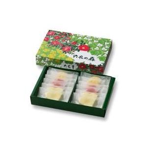 六花亭 六花の森 12枚入 ポイント利用　ポイント消化