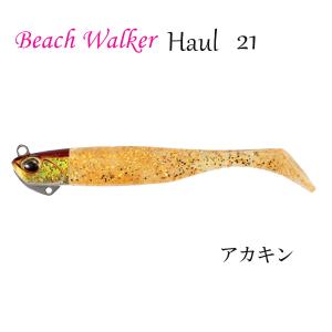 DAIWA（ダイワ） レガリス 23 LT 3000 CXH スピニングリール : H43