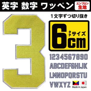 ★ジャージー書体★ 英字 数字 ワッペン 4〜23cm 190円〜 ジャージー書体 背番号 チームロゴ（国産高品質）【ゆうパケット対象商品】