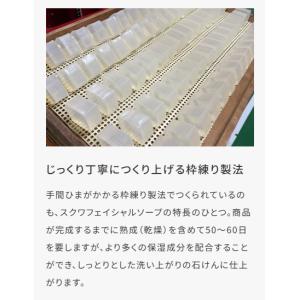 HABA ハーバー公式 スクワフェイシャルソー...の詳細画像3
