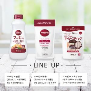 HABA ハーバー公式 マービースティック(低...の詳細画像2