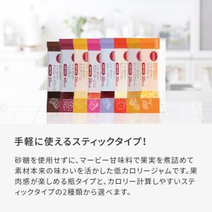 HABA ハーバー公式 ブルーベリージャム ス...の詳細画像4