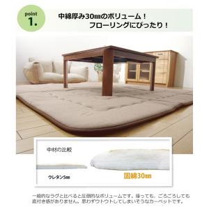 インド綿 ふっくら 厚敷き アルフ F敷 ブラ...の詳細画像1