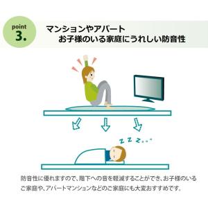 インド綿 ふっくら 厚敷き アルフ F敷 ブラ...の詳細画像3