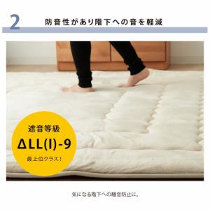 国産固綿40mm使用 マイクロファイバー生地 ...の詳細画像5