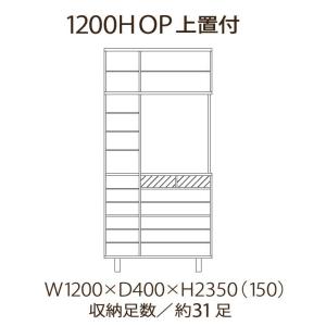 下駄箱 シューズボックス120 上置き付き 飾...の詳細画像1