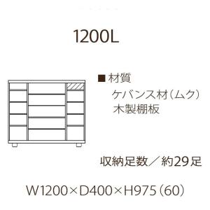 下駄箱 シューズボックス 靴箱 120 日本製...の詳細画像1
