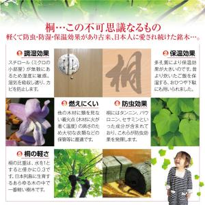 八重衣 毛皮箪笥 和タンス 桐タンス 衣装タン...の詳細画像3