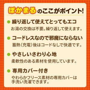 湯たんぽ 2個セット 充電式 ゆたんぽ エコ ...の詳細画像2