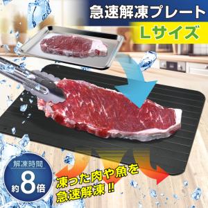 解凍プレート Mサイズ W29.5×H20.5cm 急速解凍 正規品 自然解凍 急速