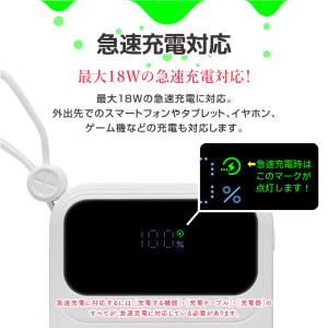 準固体電池 モバイルバッテリー 燃えにくい ケ...の詳細画像4