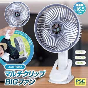 hac2ichiba_h5179