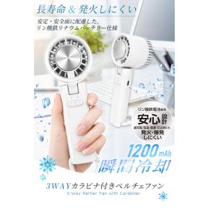 燃えにくい電池使用 ハンディファン 冷却プレー...の詳細画像1