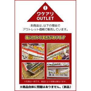 アウトレット 湯たんぽ 2個セット 充電式 ゆ...の詳細画像1