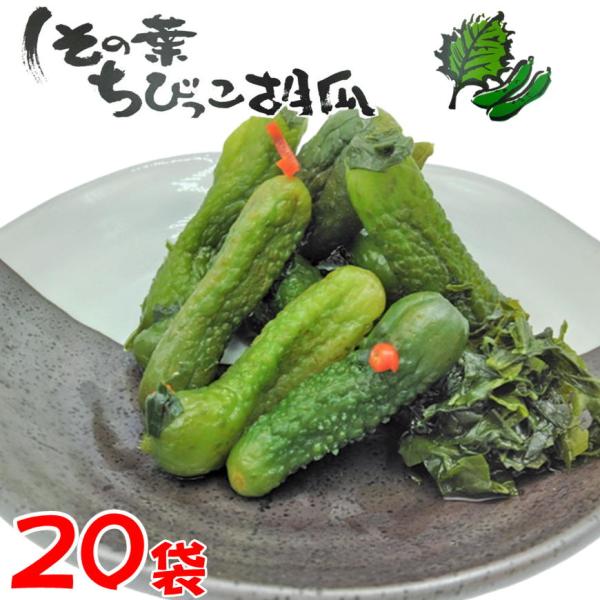 しその葉ちびっこ胡瓜 300g×20 箱買い 大人買い まとめ買い お土産 きゅうり ちびきゅう 小...