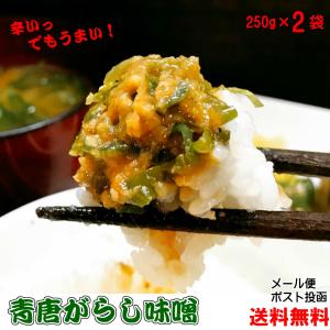 青唐がらし味噌 250g×2個セット【メール便】【お試し】【送料無料】ご飯のお供 お取り寄せグルメ ごはんのとも 国産みそ