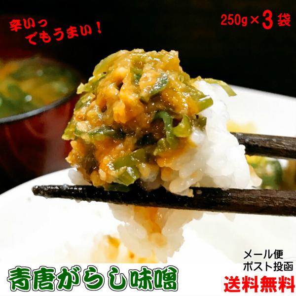 ご飯のお供 青唐辛子味噌 250g×3 ちょっぴりお得な3個セット  メール便 送料無料  お取り寄...