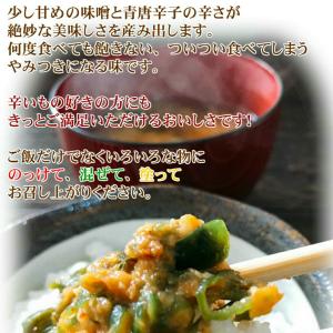 ご飯のお供 青唐辛子味噌 230g×3 ちょっ...の詳細画像5