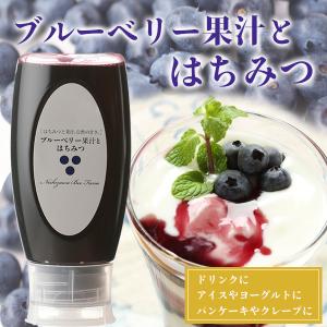 はちみつ 蜂蜜 ハチミツ ブルーベリー果汁とはちみつ500gポリ容器入り｜hachibeikan