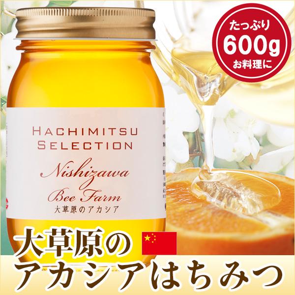 はちみつ 蜂蜜 ハチミツ 大草原のアカシアはちみつ600g 中国産 ラッピング不可