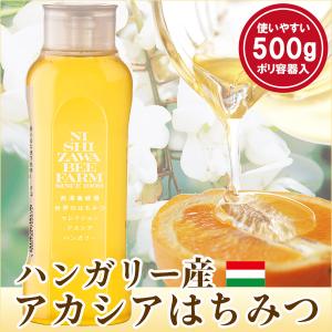 はちみつ詰め替え用ポリ空容器 大 500g用 SSC357ボトル 逆止弁キャップ
