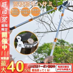枝切りばさみ 剪定ばさみ はさみ ハサミ 庭 ガーデン 園芸 枝切り 作業 庭木 送料無料