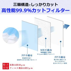 「爆買」【3点購入で150円OFF】マスク 2...の詳細画像3