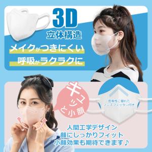 【3点購入で150円OFF】マスク 3D 立体...の詳細画像3